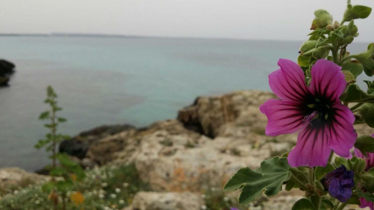 252 Via Udine Villa Gallipoli Eksteriør billede